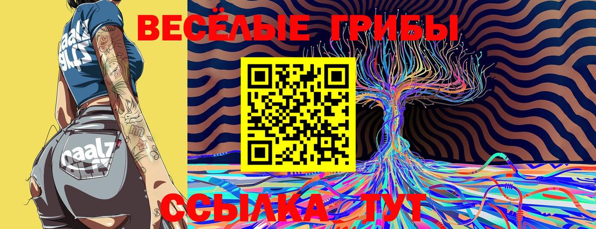 Псилоцибиновые грибы Magic Shrooms Клинцы